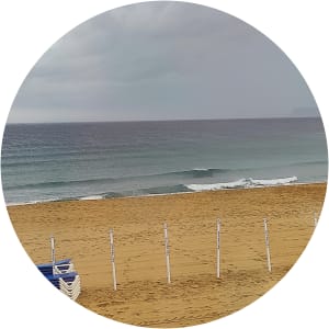 User Profile Avatar
