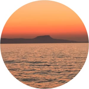User Profile Avatar