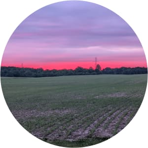 User Profile Avatar