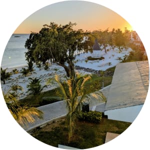 User Profile Avatar