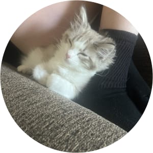 User Profile Avatar