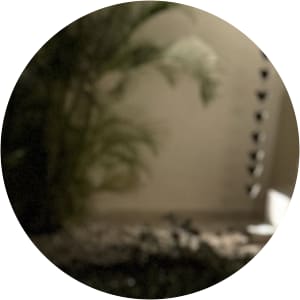 User Profile Avatar