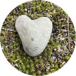User Profile Avatar