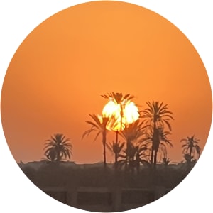 User Profile Avatar