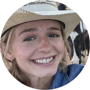 User Profile Avatar