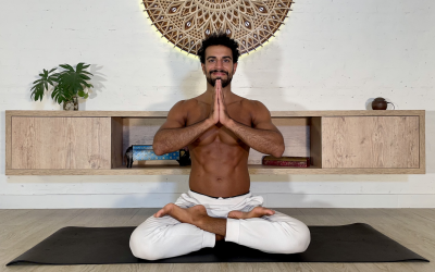 Pouya's Health Club