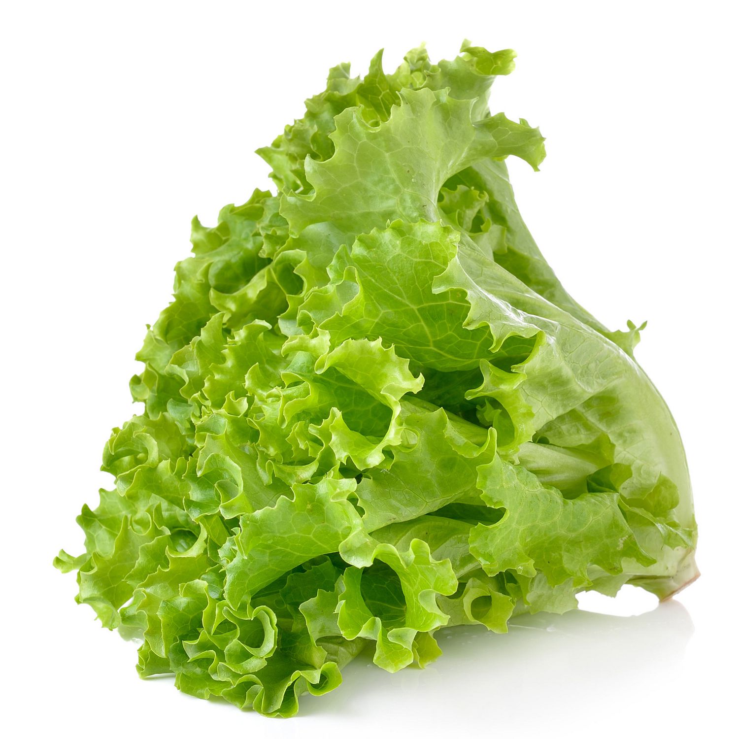  Alt Lettuce