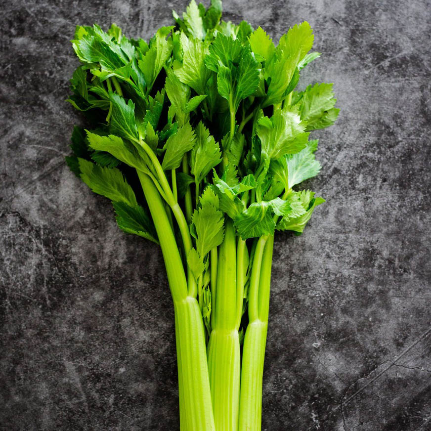  Alt Celery