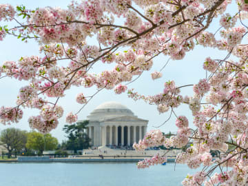 10 2022 Washington DC area events that can be great for your small business
