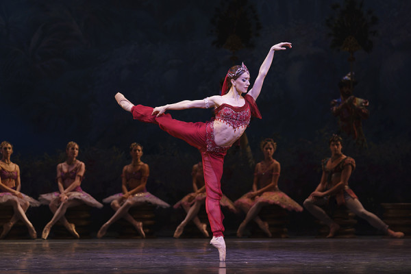 La Bayadère. Marianela Nuñez as Nikiya. ©ROH, 2018. Photographed by Bill Cooper.