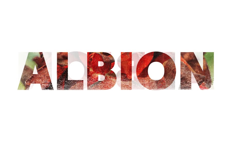 Albion - 900x600