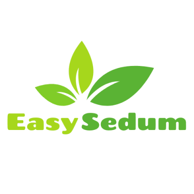 Easy Sedum