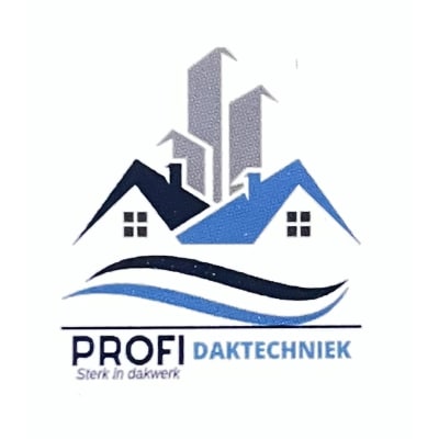 ProfiDaktechniek