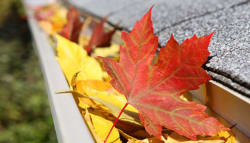 dakgoot met bladeren