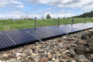 Zonnepanelen Stevensweert