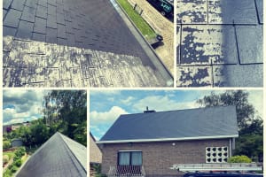 Dakreiniging + gekleurde coating