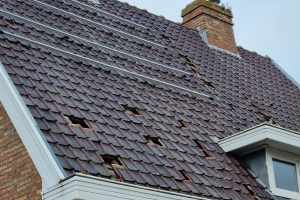 Project in onze thuishaven !