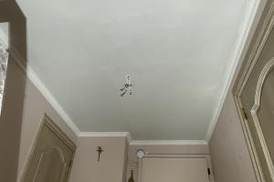 Herstellen plafond