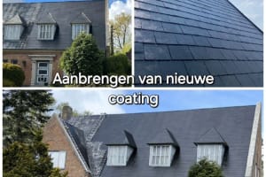 Dakreiniging