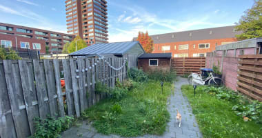 Schuur bouwen met tuin renovatie