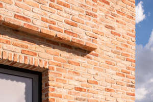 Gevelrenovatie met steensrtips