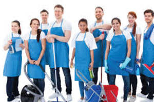 Ons team