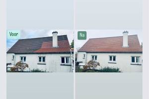 Dakreiniging