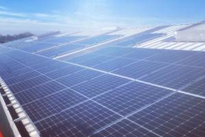 Zonnepanelen en laadpalen