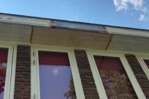 Houtrot herstel / Reparatie