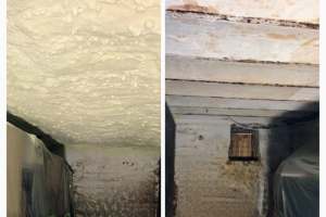 plafonds de caves et vide ventilés
