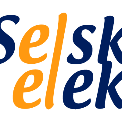 Seleskov Electric