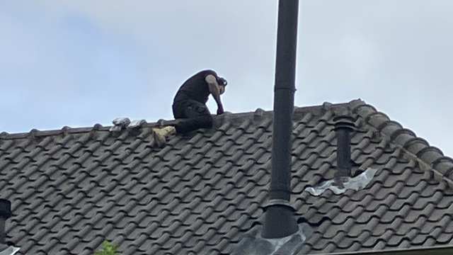 Foto's bij de beoordeling