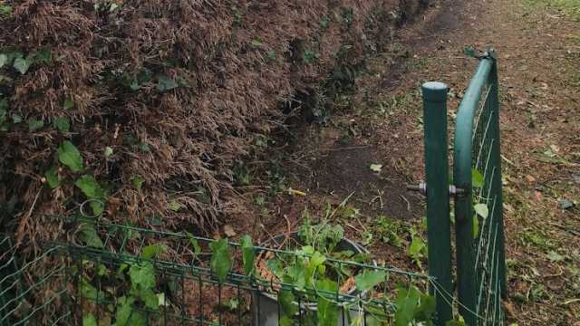 Foto's bij de beoordeling