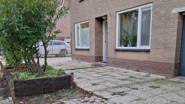 Foto's bij de beoordeling