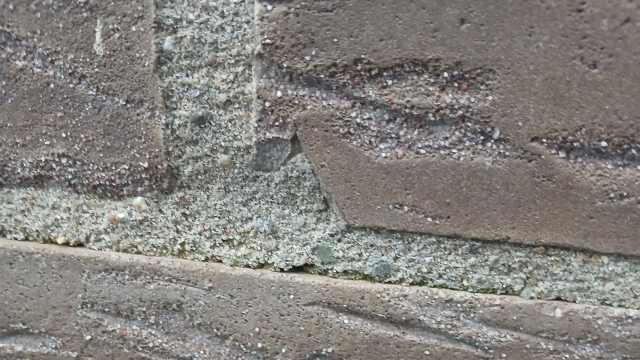 Foto's bij de beoordeling