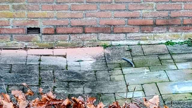 Foto's bij de beoordeling