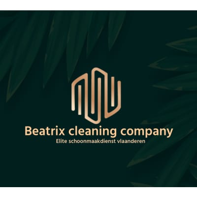 Beatrix cleaning Company nv