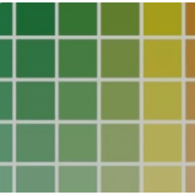 Kwaliteit in Kleur