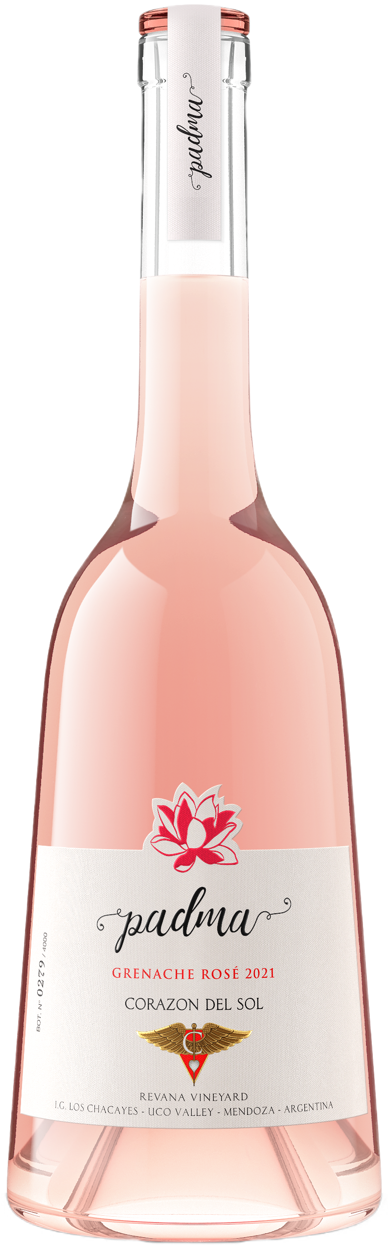 Rosè