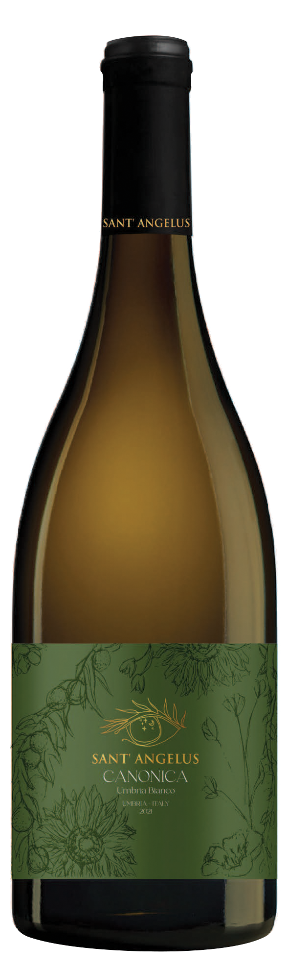 Grechetto di Todi, Chardonnay