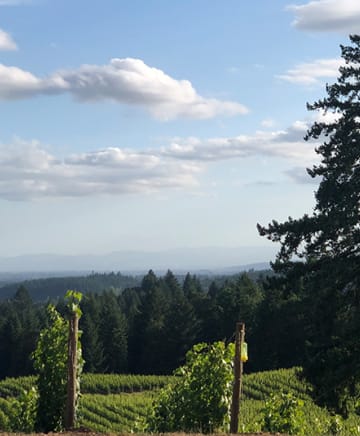 Alexana Winery Image