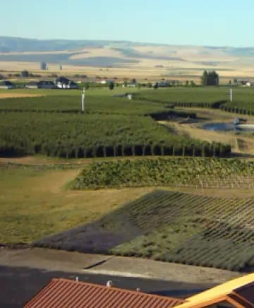OB/Amavi%20Cellars/TEP/Sip%20Sustainably/experience-card