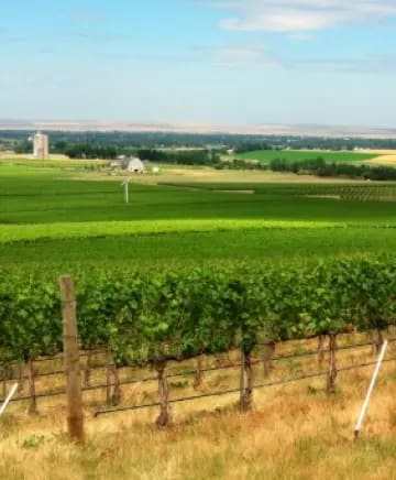 OB/Amavi%20Cellars/TEP/Walla%20Walla%20Standouts/experience-card