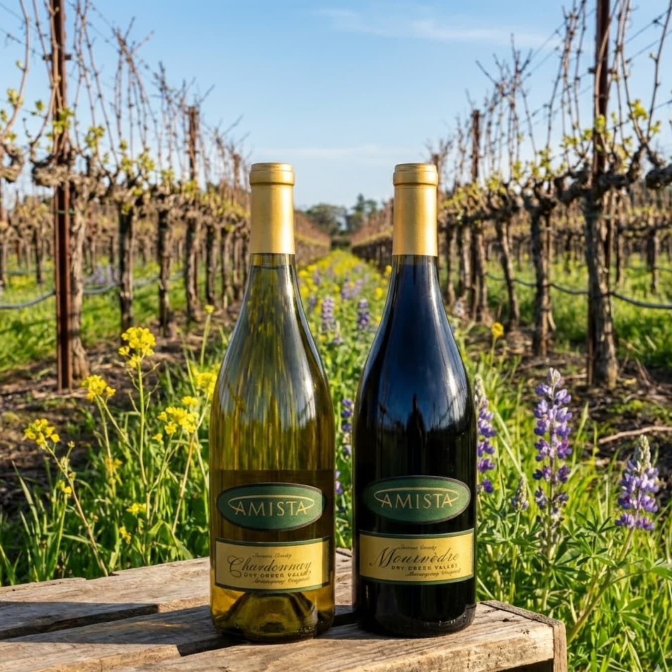 Saturday Session ft. Amista Vineyards