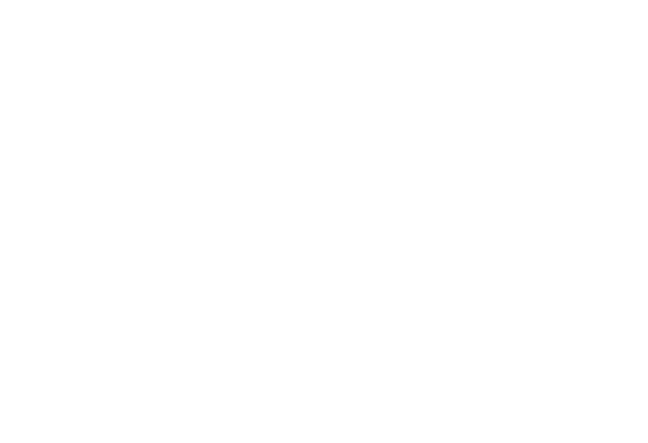 Andis Wines Logo