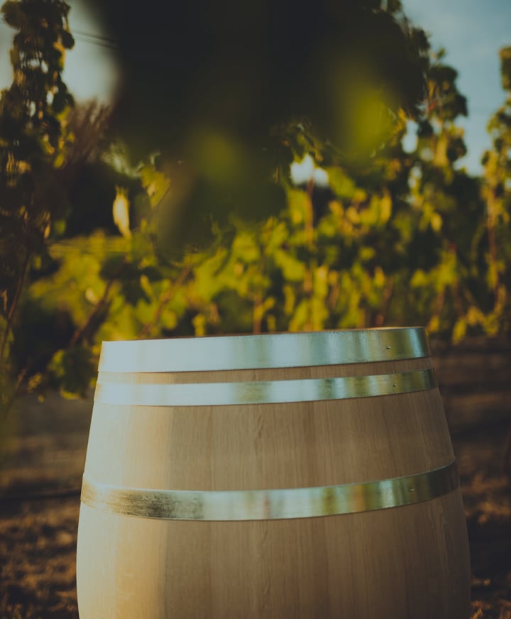Authentique Wine Cellars Image