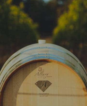 Authentique Wine Cellars Image