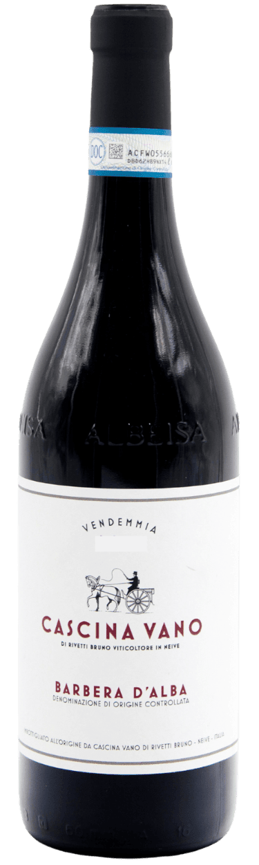 2023 Barbera d'Alba DOC