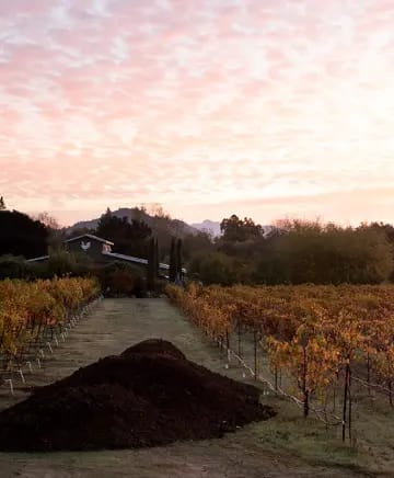 OB/DaVero%20Farms%20and%20Winery/TEP/Italy%20the%20California%20Way/experience-card