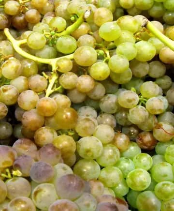 DeLille Cellars Image